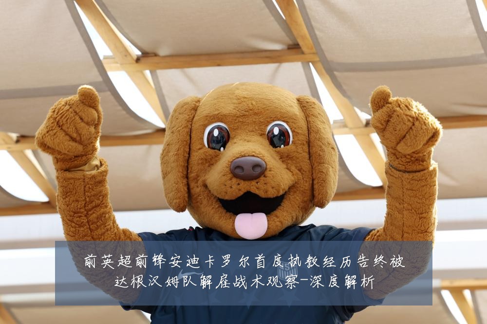 前英超前锋安迪卡罗尔首度执教经历告终被达根汉姆队解雇战术观察-深度解析
